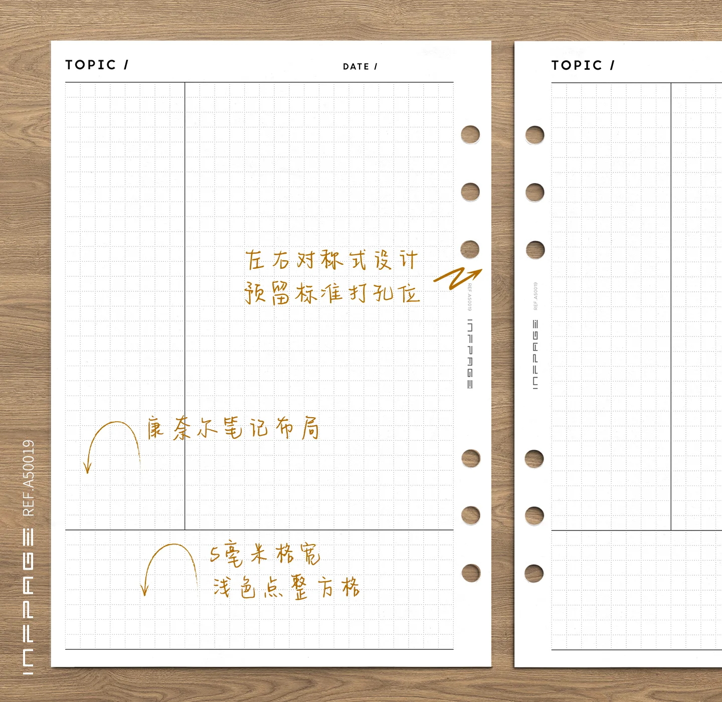 A50019-笔记网格-康奈尔方格-A5-No.1